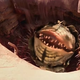 Singing Sarlacc Pit (Screenshot: YouTube)